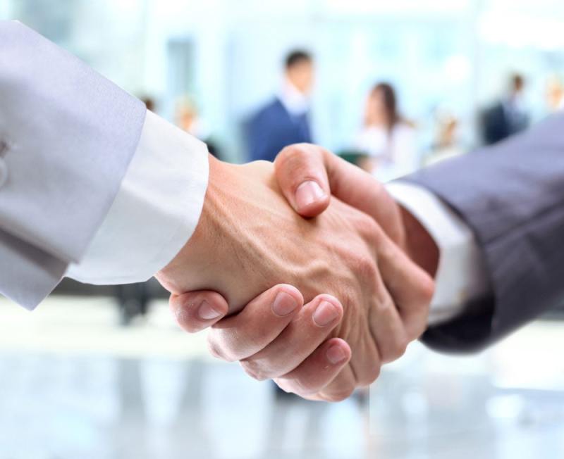 Two business people shaking hands